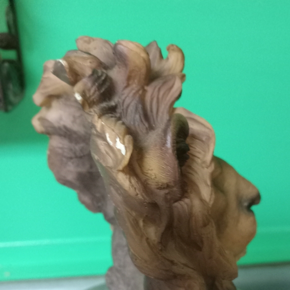 Southwestern Reflections Collection- Lion Vintage - Picture 8 of 9